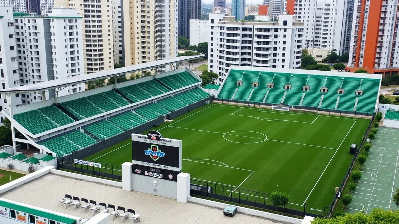 Como Assistir Goiás vs Avaí Ao Vivo: Guia Completo para os Fãs de Futebol